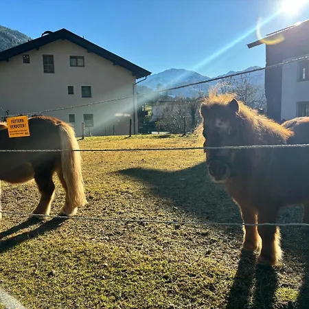 Ferienhaushaelfte Am Huberhof